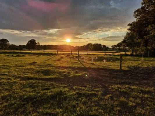 Camping on the farm near the Lüneburg Heath