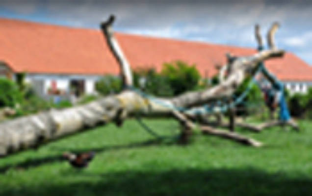 Erlebnishof  Lüttkevitz