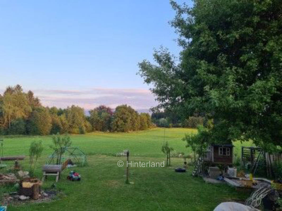 Fuchs&Hase     See&Wald