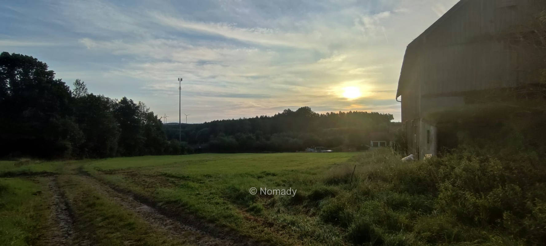 Wiese am Waldrand mit Aussicht