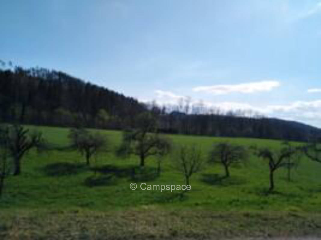 Bauernhofcamping zwischen Bodensee und Allgäu