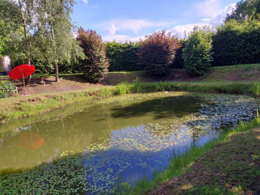 Zelt für 4 Personen (Campspace 30342)