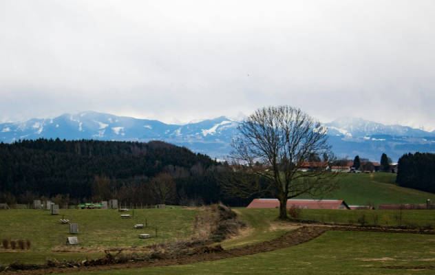 Nature Idyll with Mountain View 1