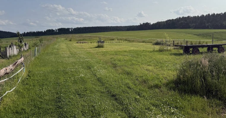 Pillingshof