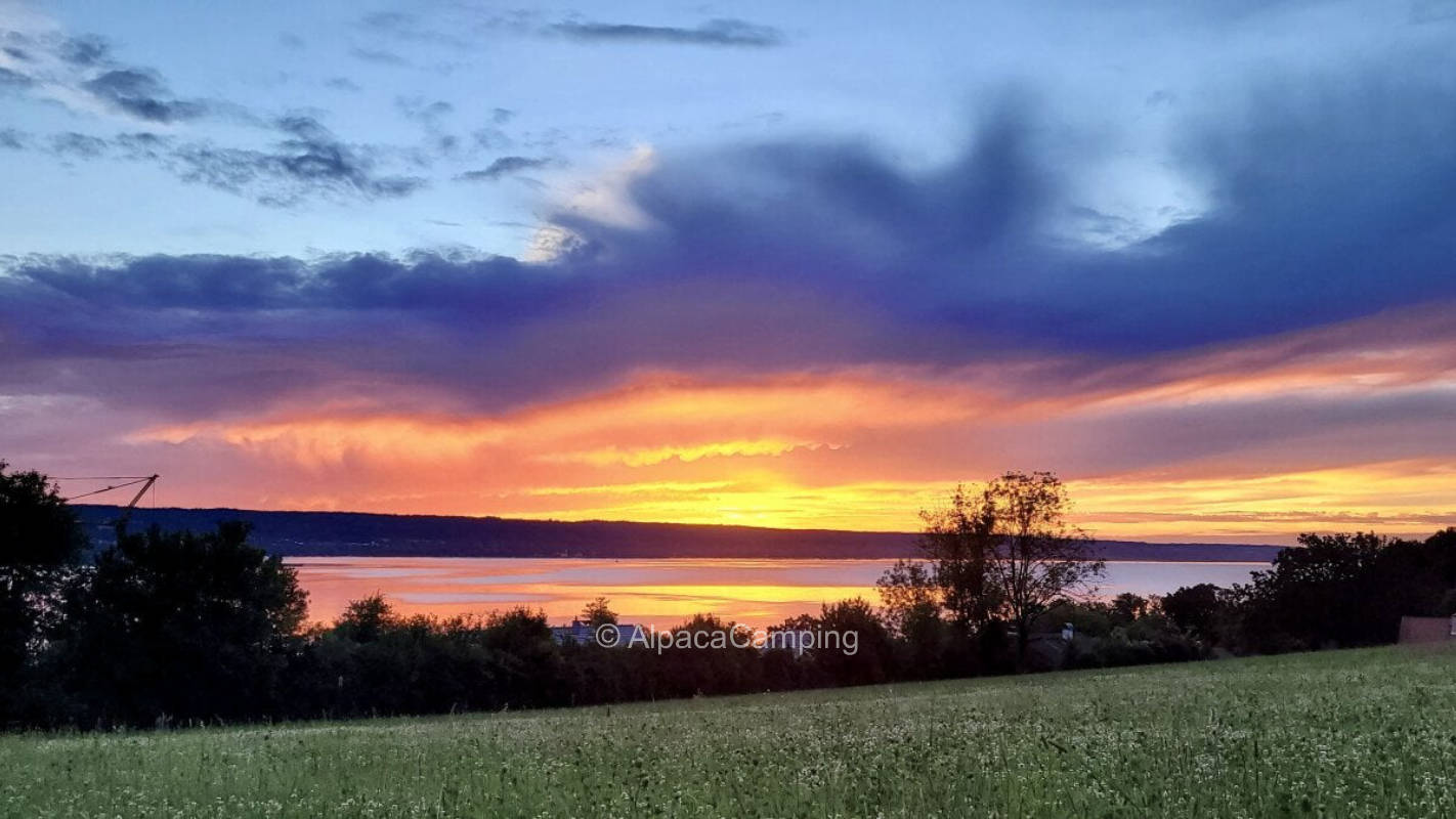 Close to Ammersee #1