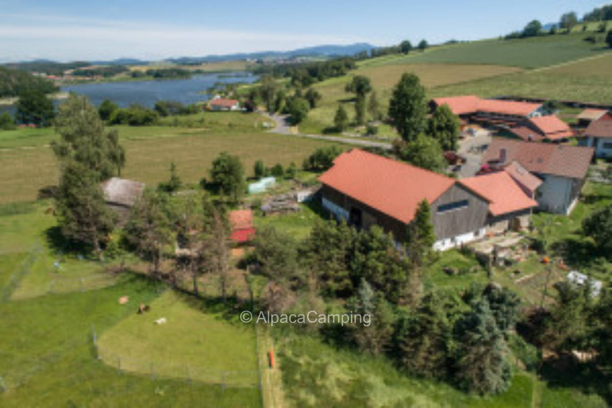 Between alpaca pasture and permaculture