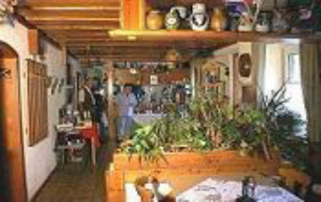 Winery F.G.Kost