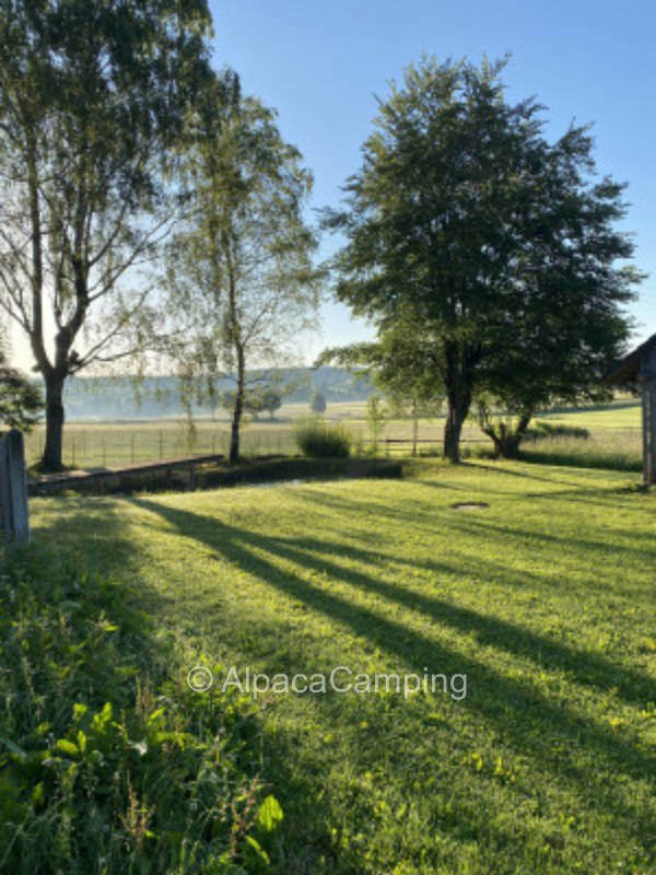 Zwischen Weiher und Eselstall #1