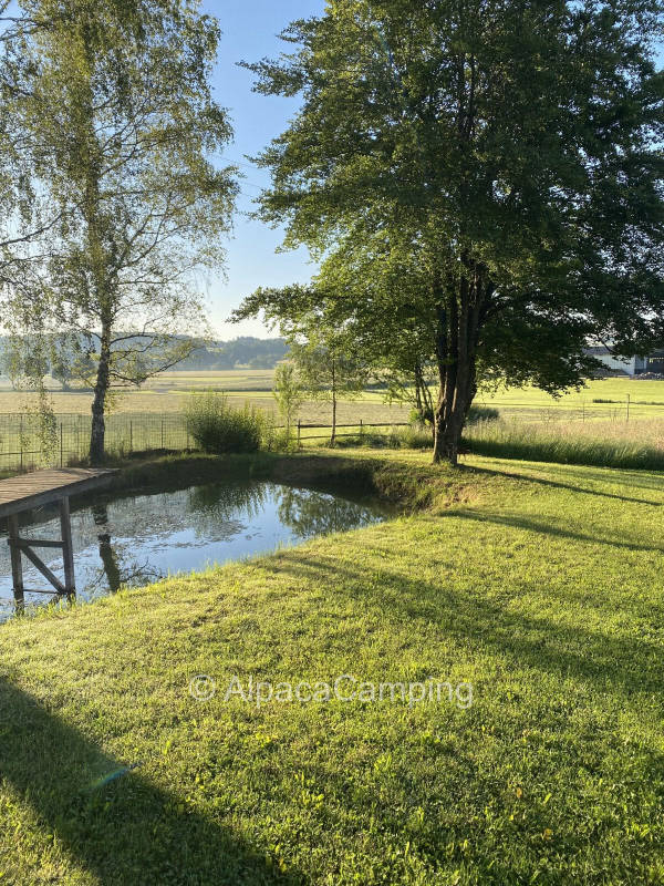 Between pond and donkey valley #1