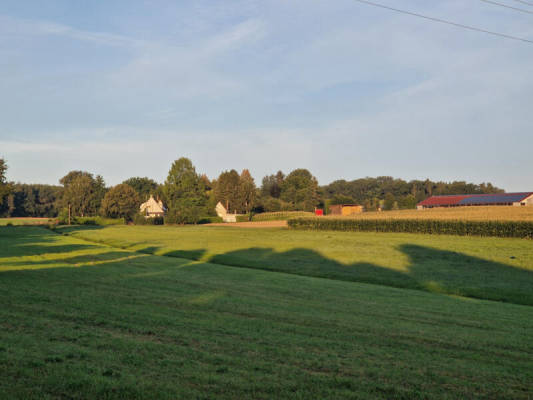Obstbaumwiese (Campspace 24366)