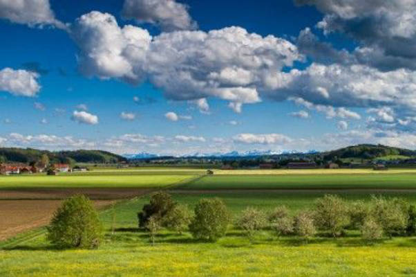 Pure nature in the Allgäu, with sauna and alpine views