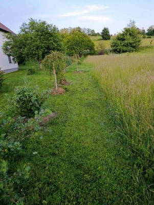 Transit-Stopp Serbien: Sicherer Platz mit Ruhe