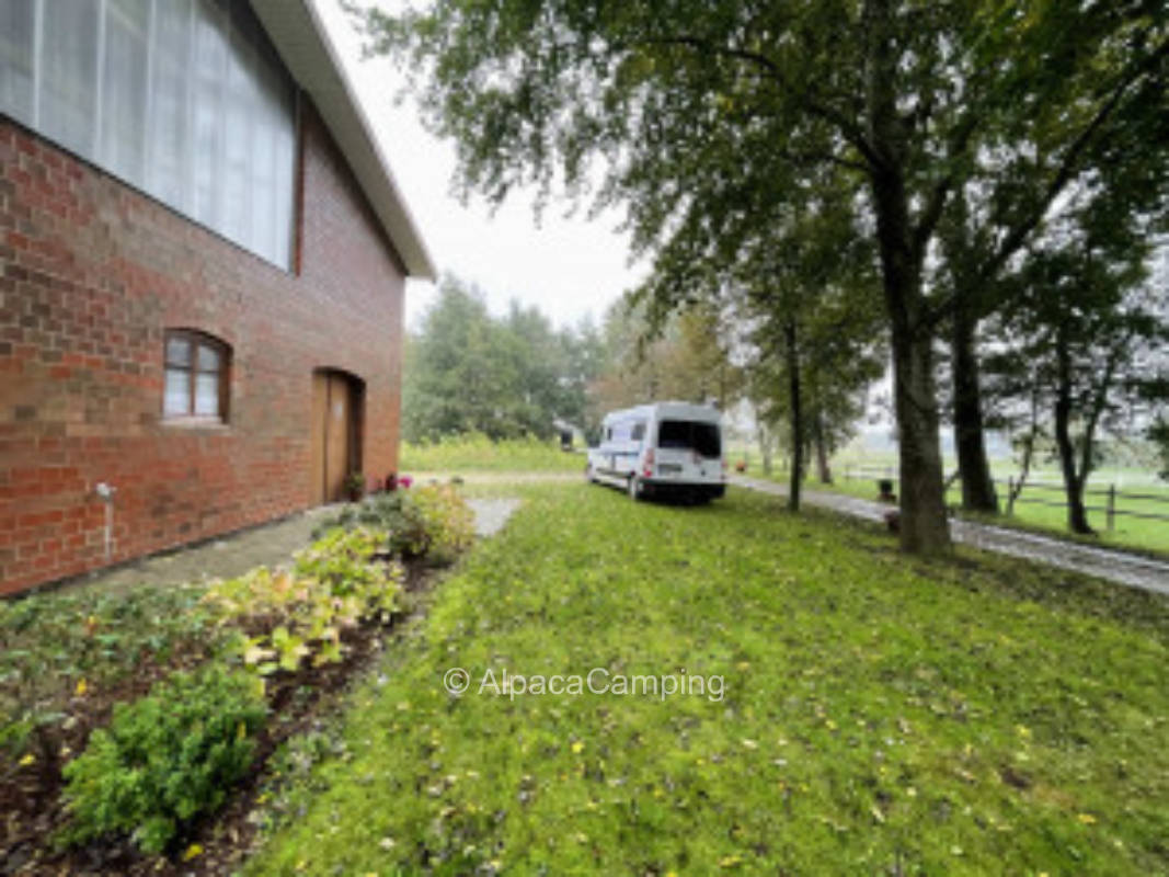 Horse farm North Frisia #3