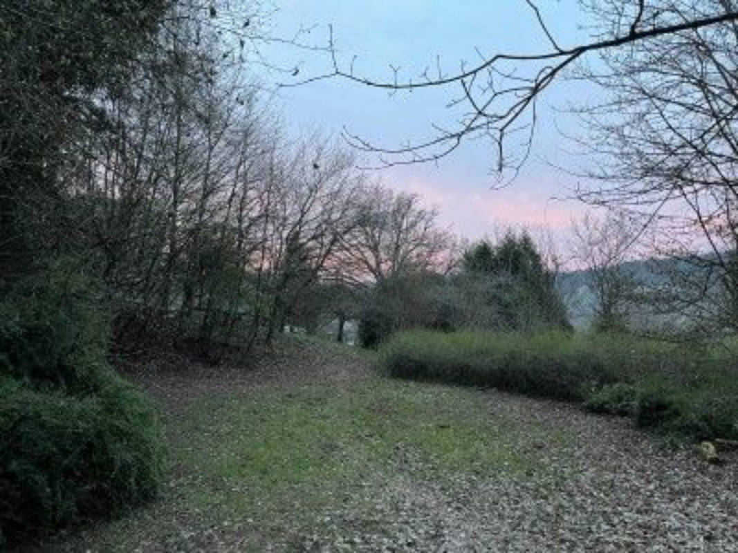 Naturplatz, Nähe Mosel: Wiese mit Hütte 