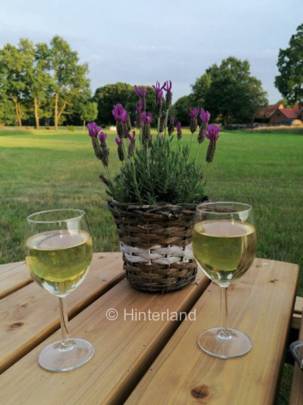 Wiesencamping auf der Heuwiese 