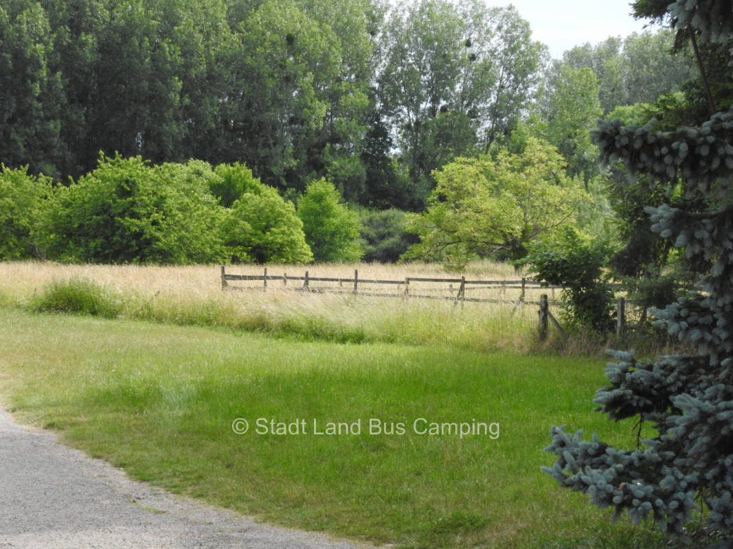 Domaine de la Méchinière 1