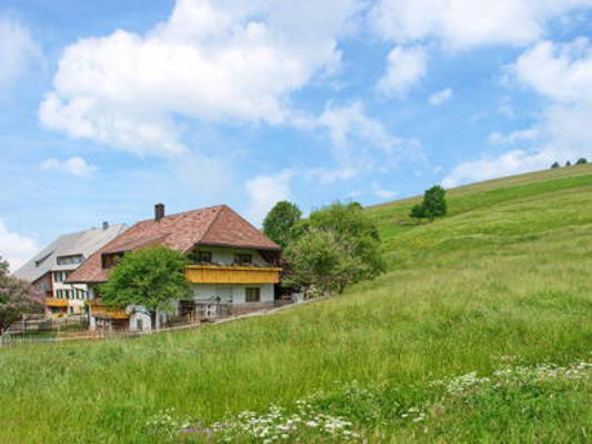 Willkommen bei Familie Gutmann  auf dem Itzenwaldhof