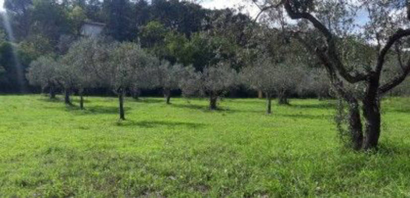 Camping Borgo Agna