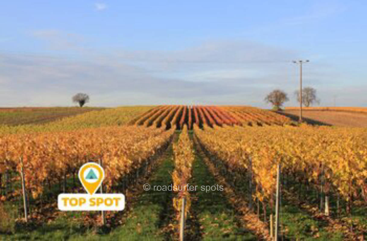 Übernachten an den Weinbergen