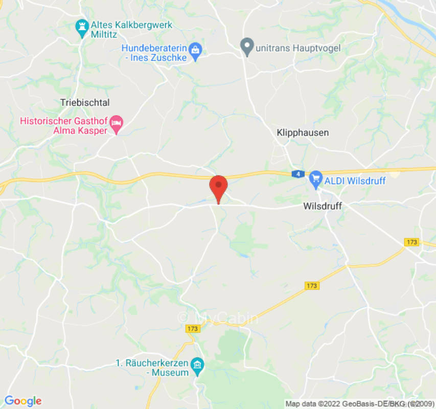 Apple tree meadow near Dresden