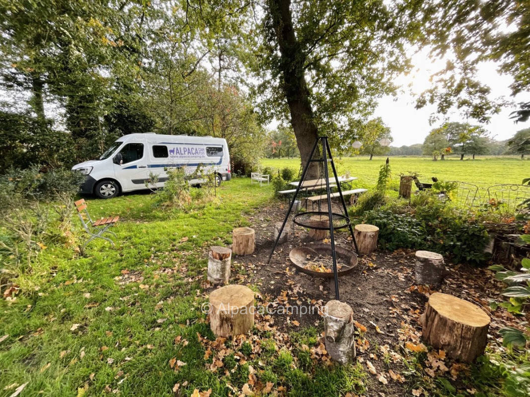 At the willow in the country idyll near Bremen