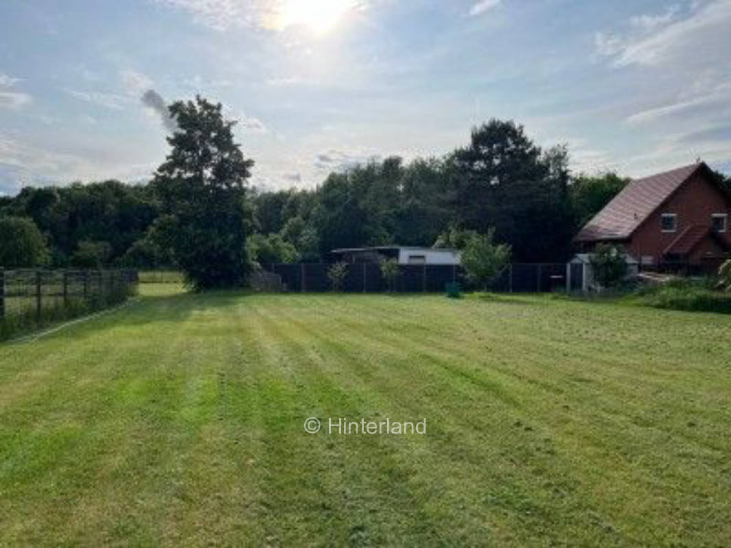 Grüne Auelandschaft unweit des Wallendorfer See