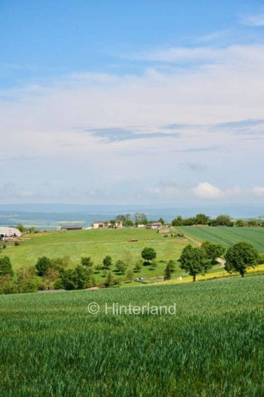 Genussurlaub am ZGNHOF in der Nordpfalz