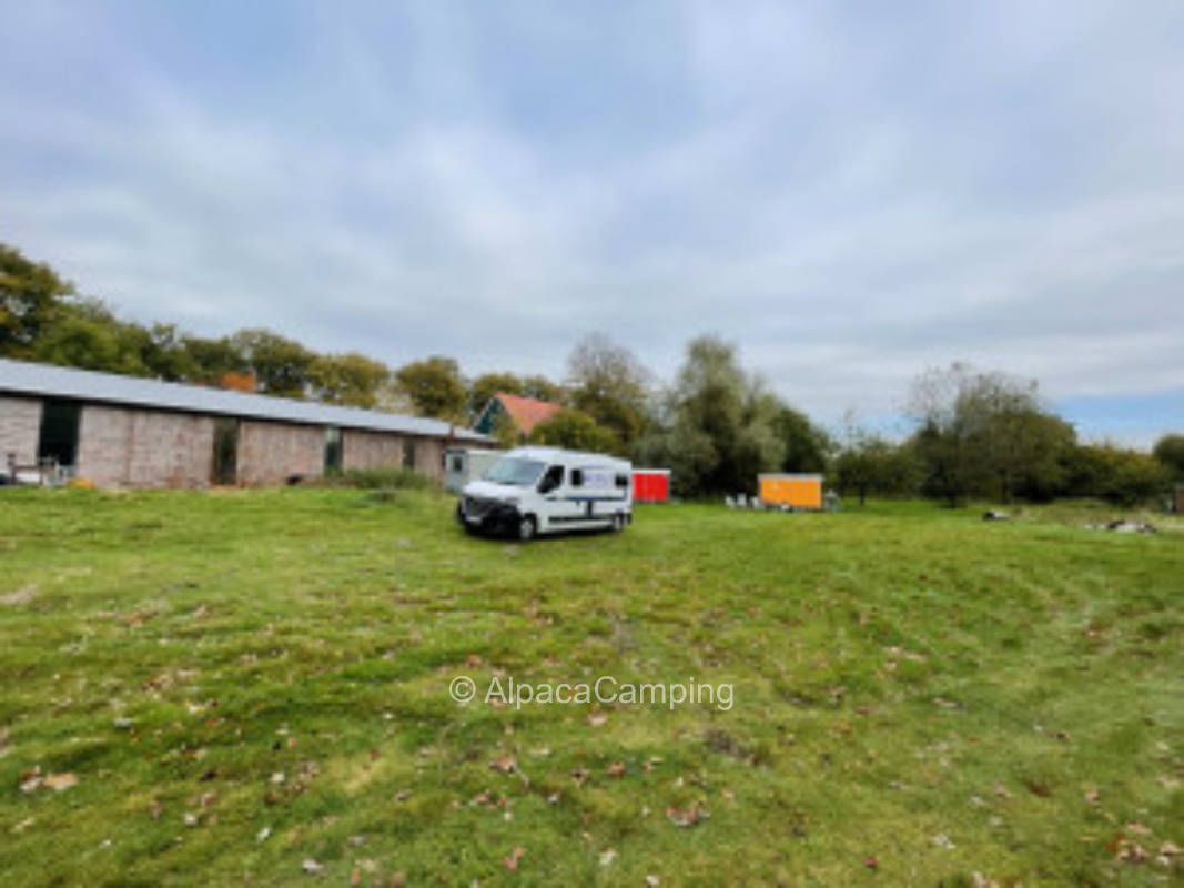 Auf der Obstwiese in Dorsten #3