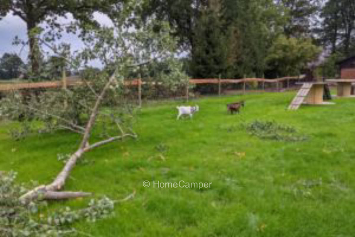 Private place in Diepenau