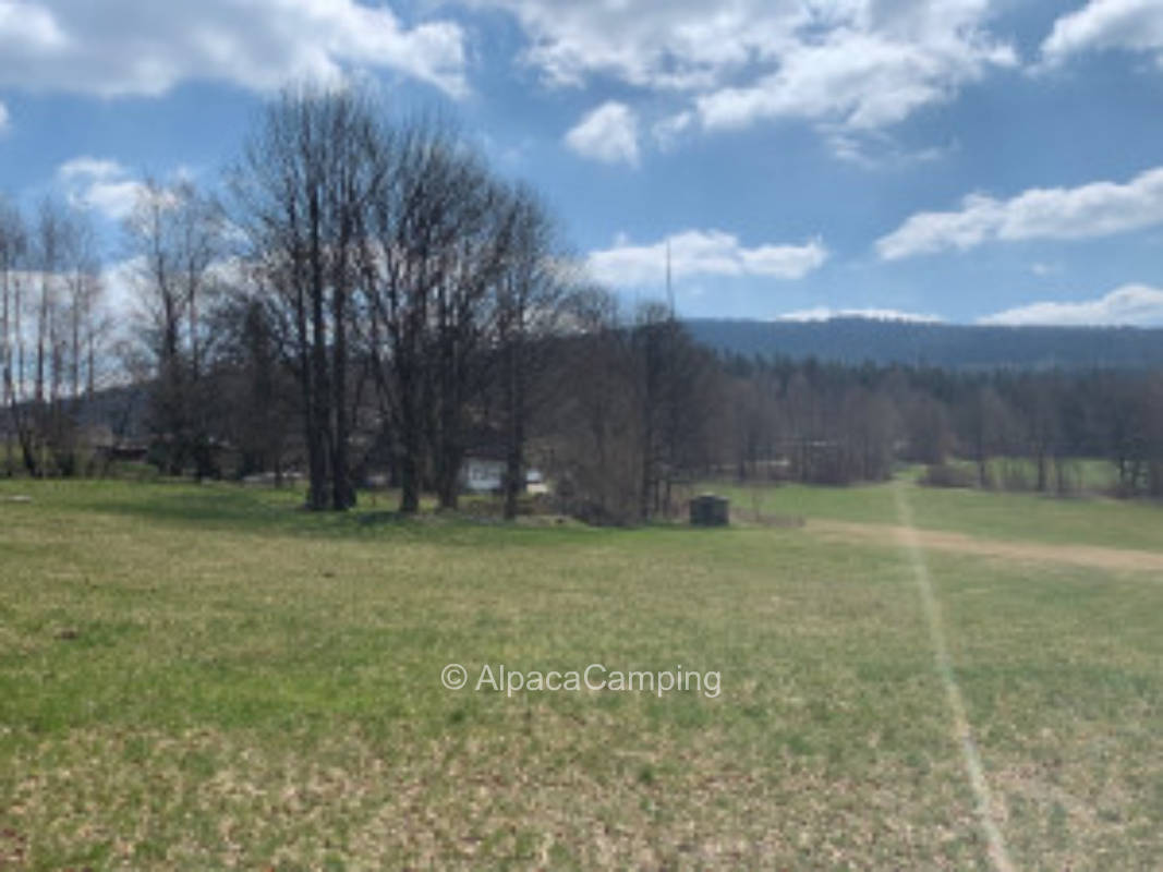 Natur & Weitblick in unvergleichbarer Lage  "Waldschneise"