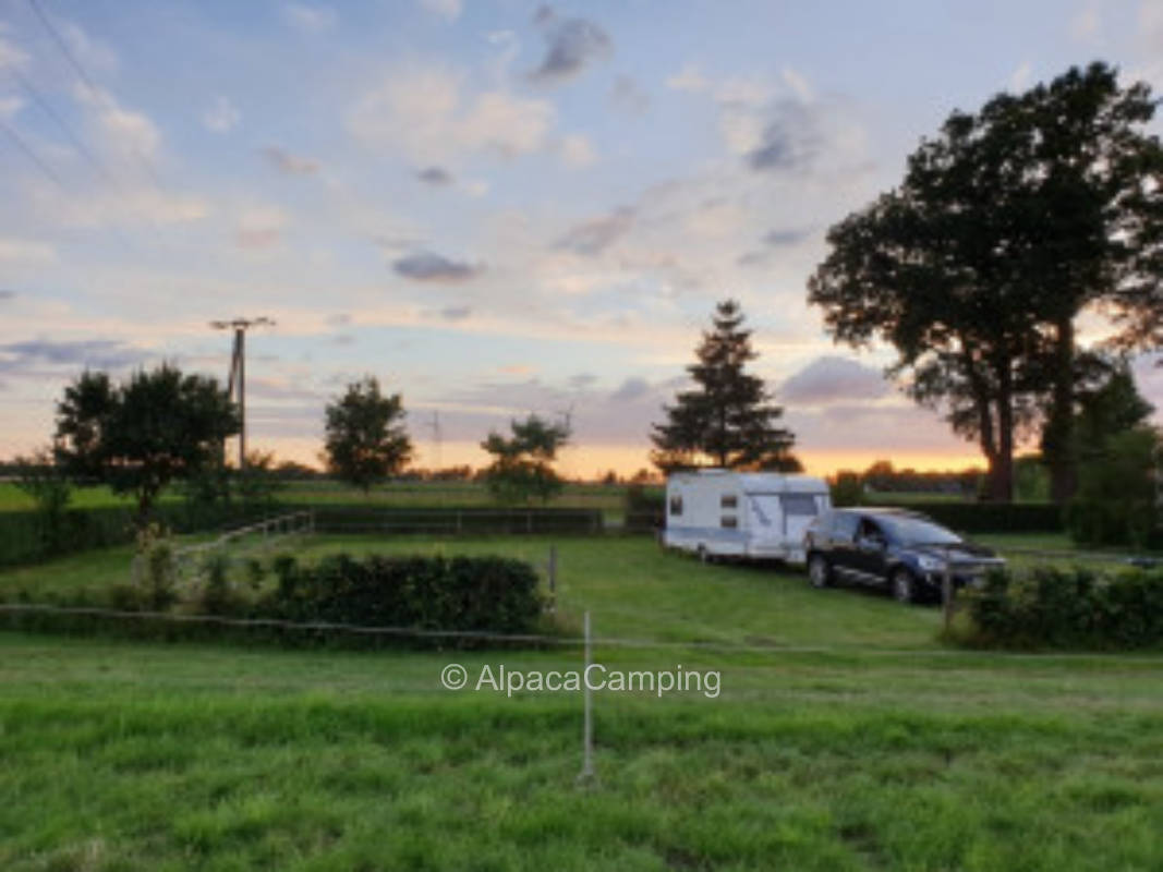 Sunny overnight accommodation in old pony meadow #2