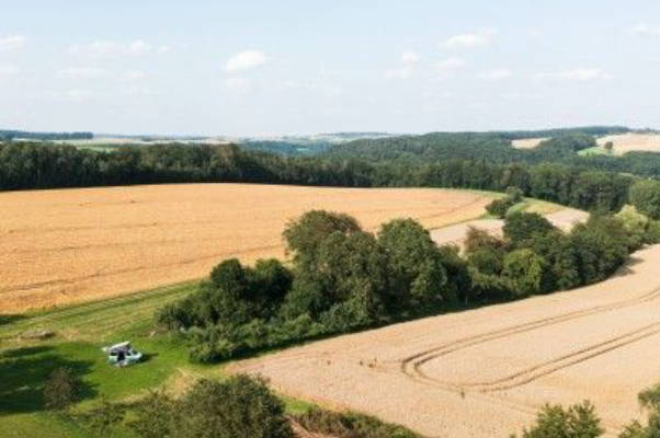 Auf dem Gutshof zwischen Kocher- und Jagsttal