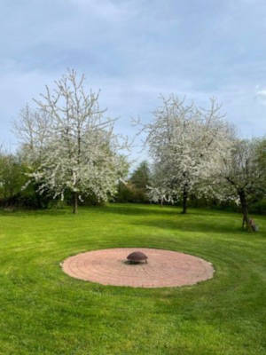 Relax with Children and Dogs in the Orchard Meadow