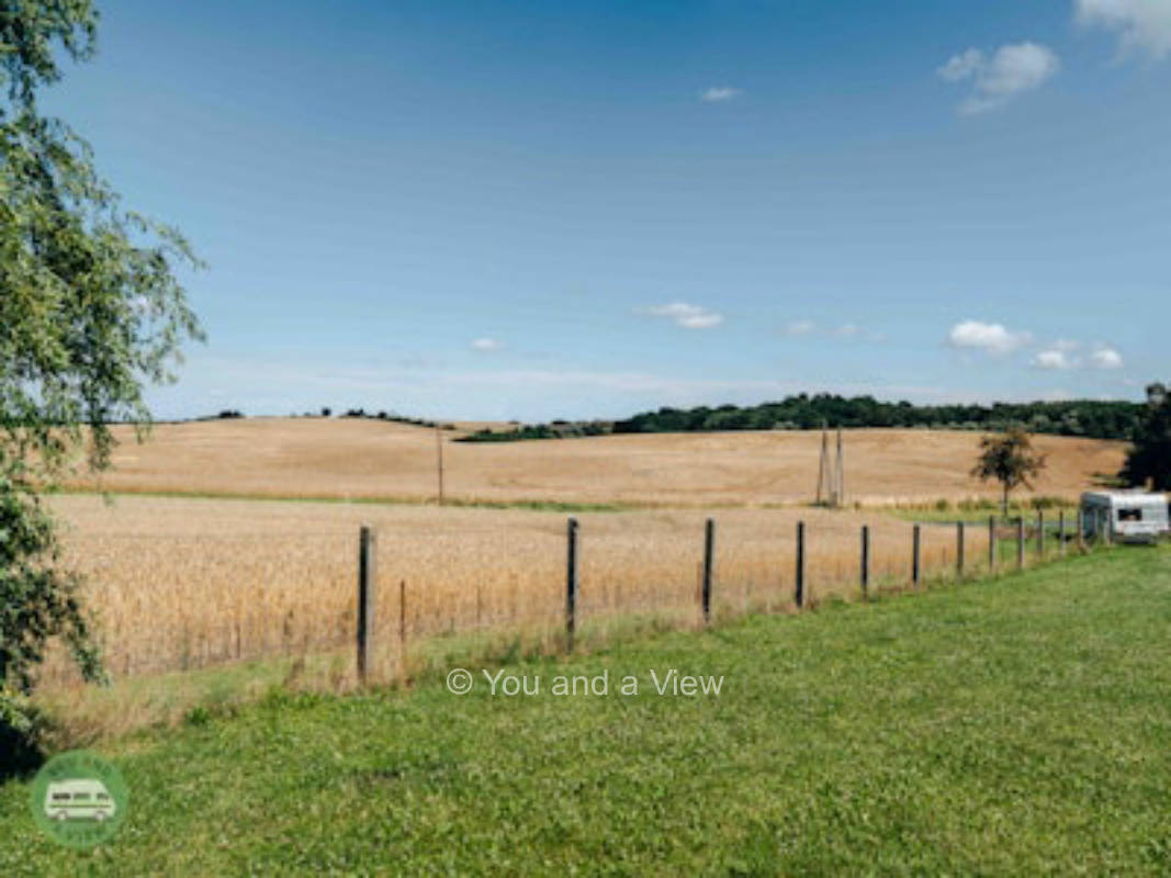 Grüne Wiese mit Weitblick