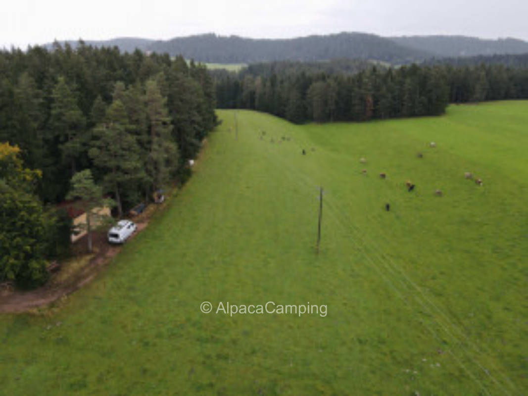On the edge of the forest with a view of the cow pasture, privater Stellplatz