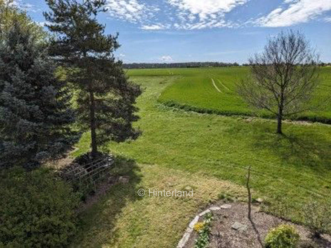 Ruhige Wiese am Feldrand