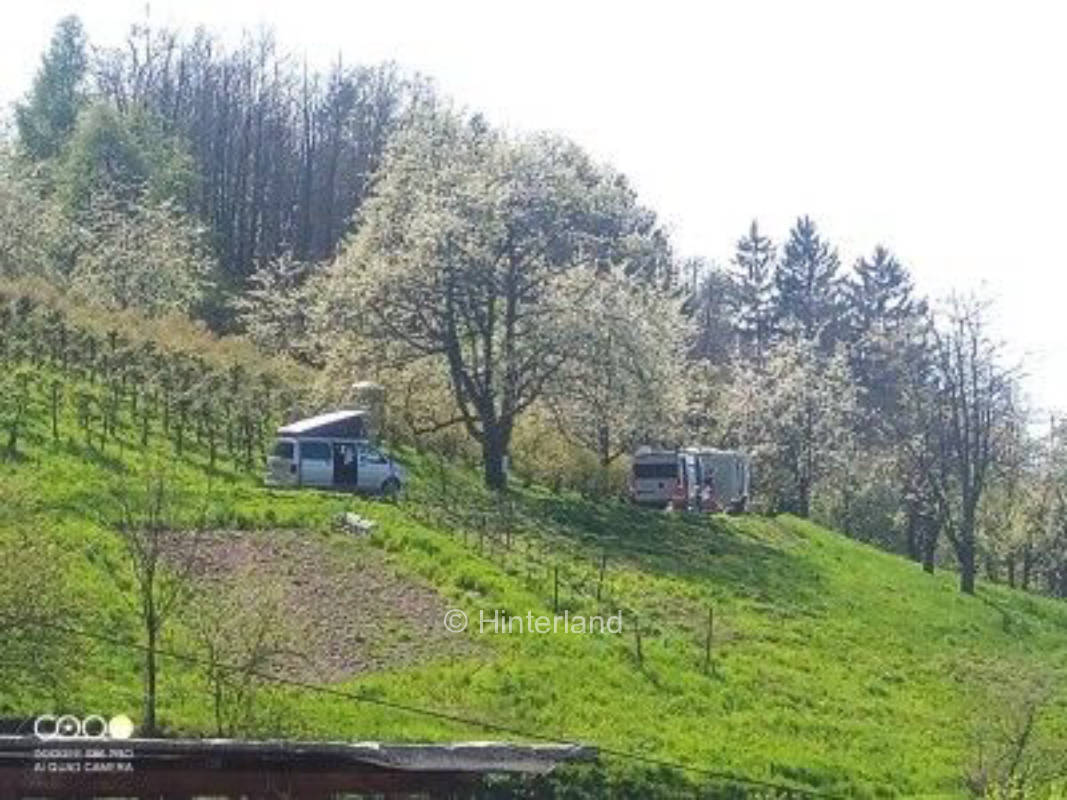 Badischer Winzer mit Blick nach Straßburg 