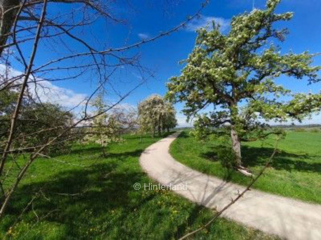 Stellplätze auf dem Bauernhof mit Panoramablick