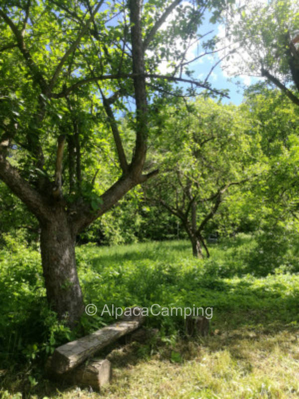 Einzelstellplatz in Bad Freienwalde