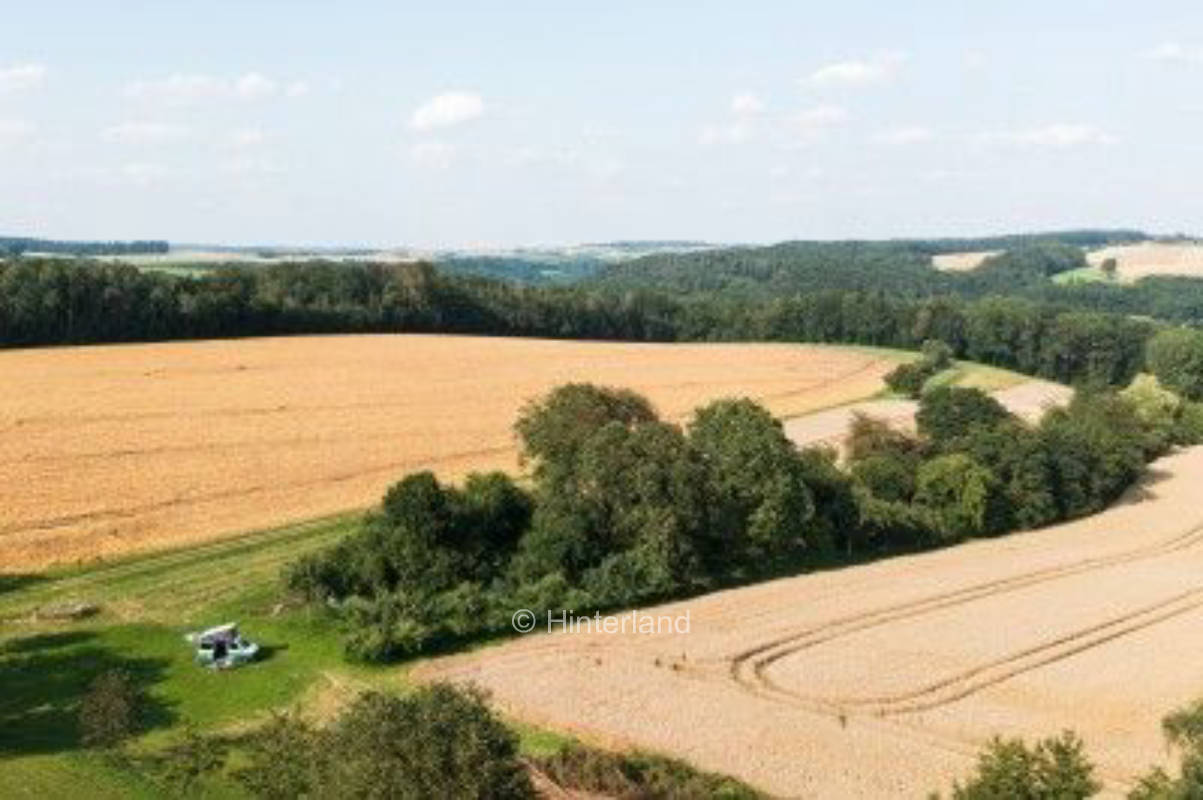 Auf dem Gutshof zwischen Kocher- und Jagsttal