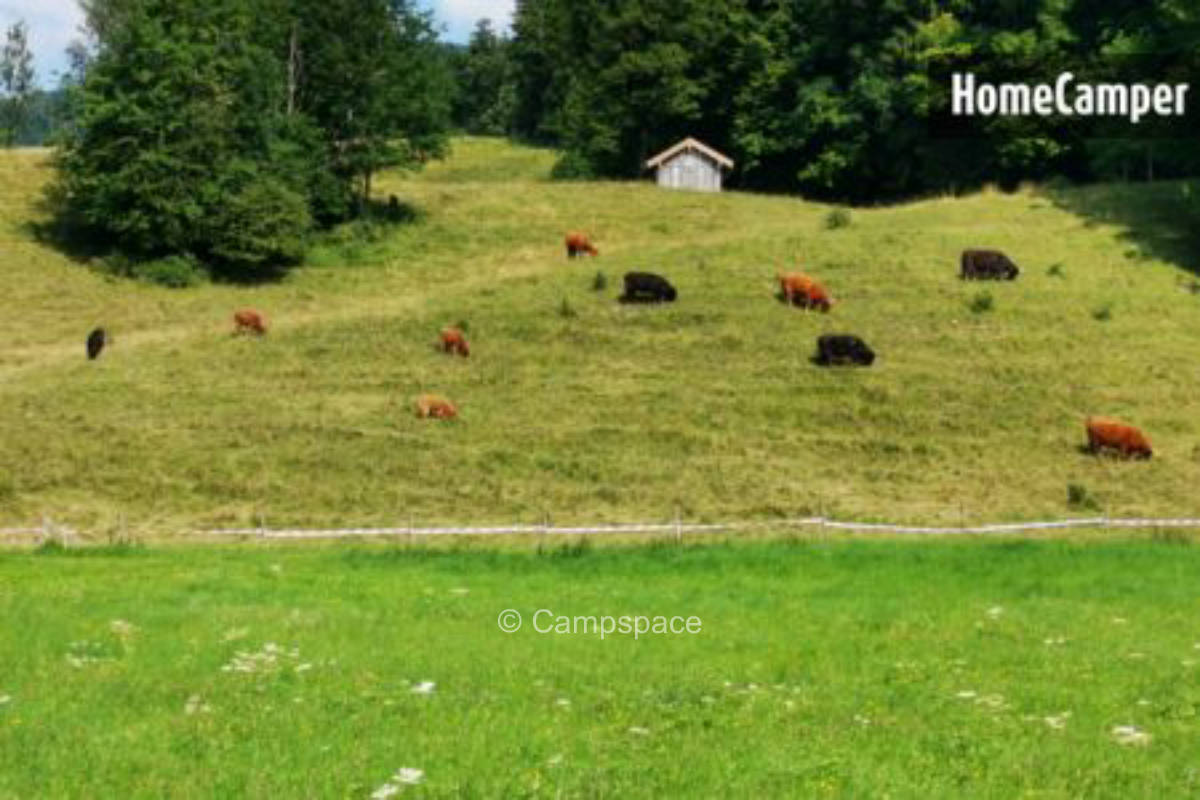 Campspace in Lenggries, Bayern