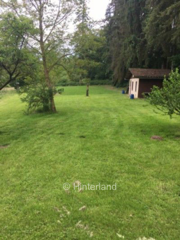 Zelten am Waldrand im Marienthal