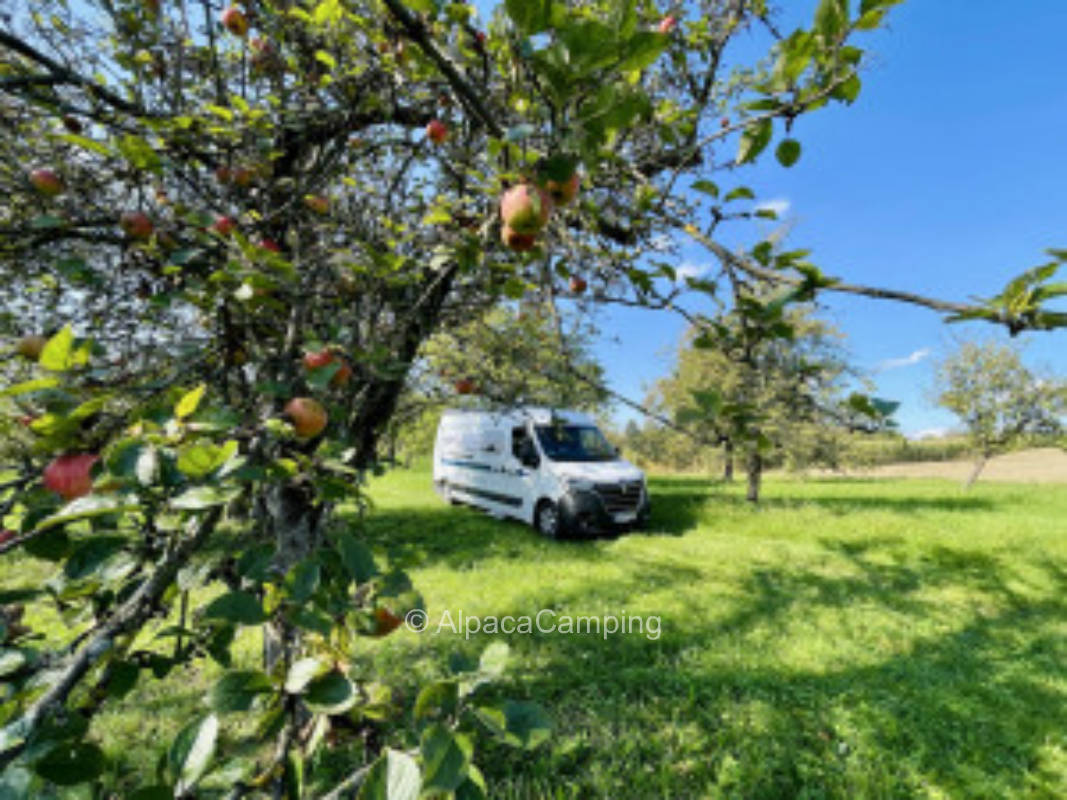 Bio Streuobstwiese Weissach im Tal Idylle #1