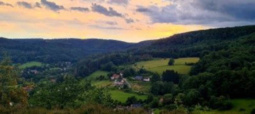 On the Steinbrink in the Teutoburg Forest