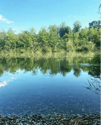 Camping an der Donau in Ungarn 