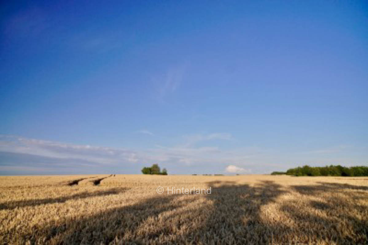 Stellplatz mit Ausblick auf Wald, Feld und Wiese