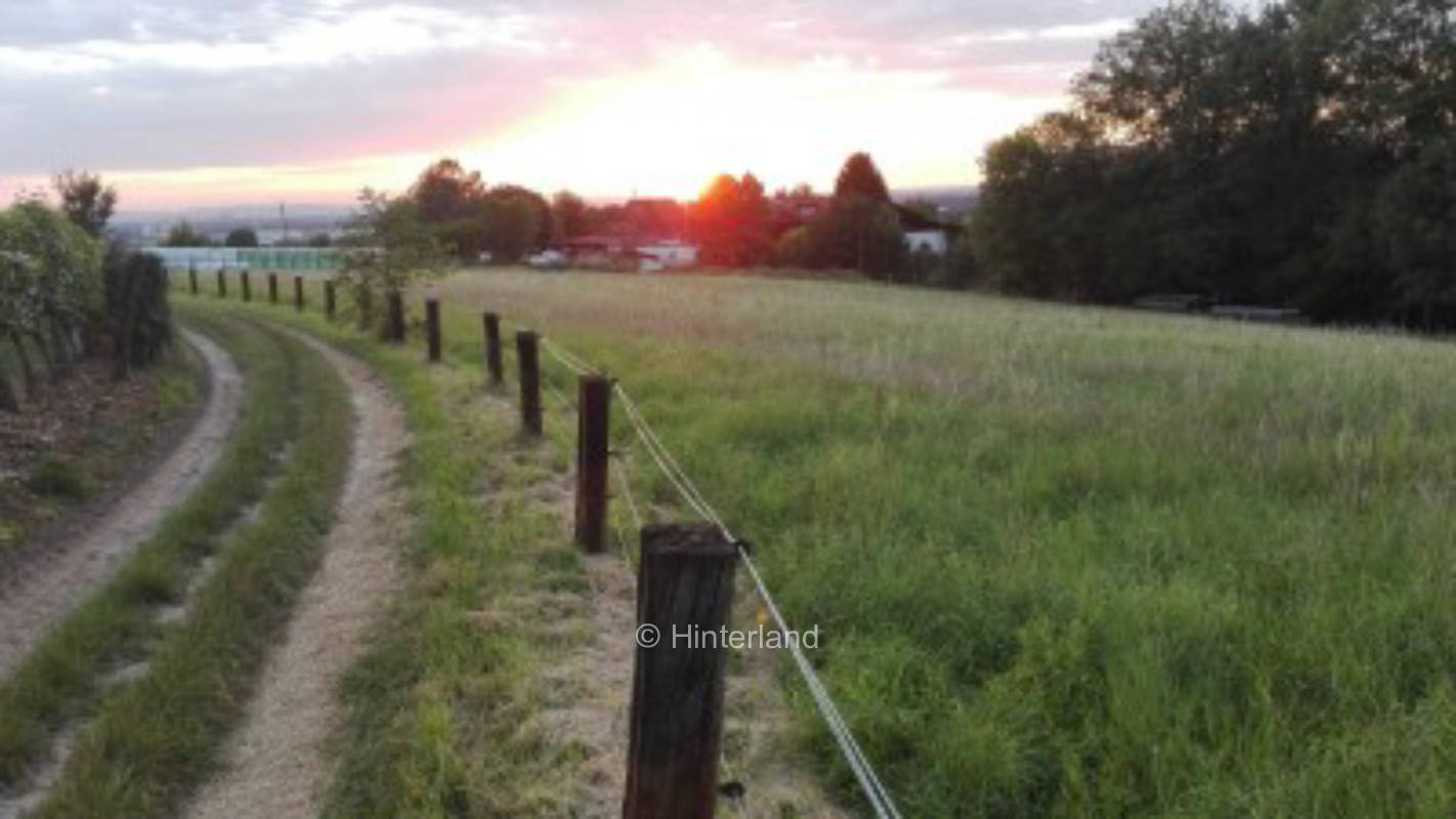Stellplatz auf dem Bauernhof