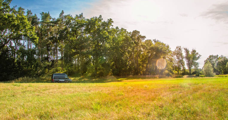 Landhofidyll- Platz am Wäldchen