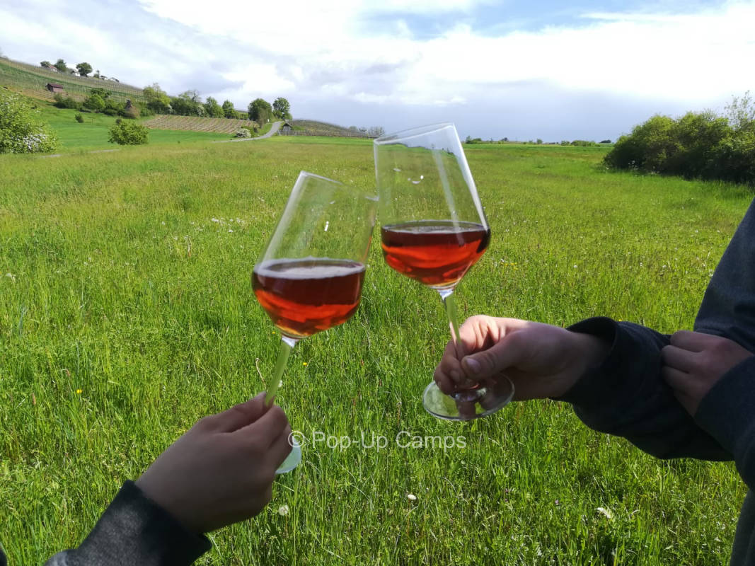 Dreamlike overnight stay with view to the vineyard in Donnersdorf