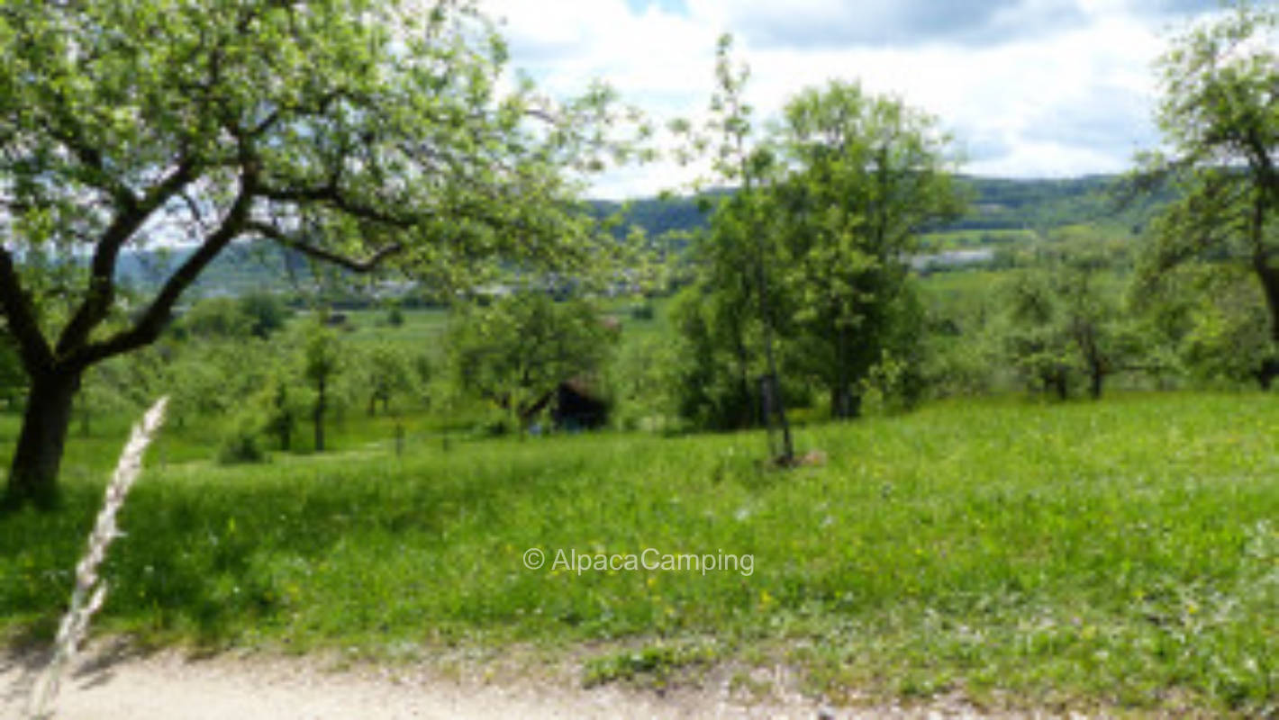 Bio Streuobstwiese Urbacher Fernblick, privater Stellplatz